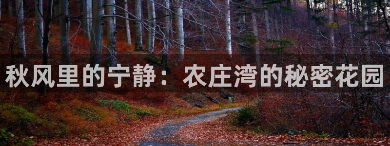 必一运动官网平台