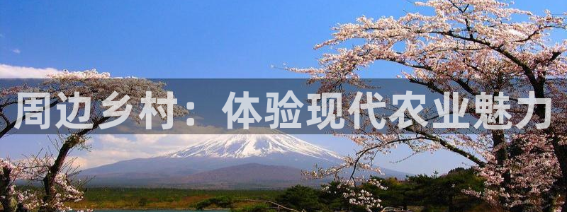 必一体育游戏玩法