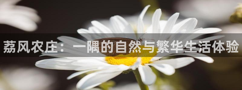必一运动bsport体育app下载