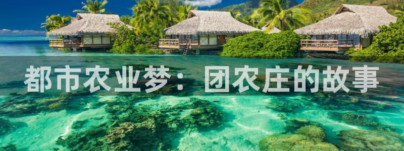 必一体育官方入口