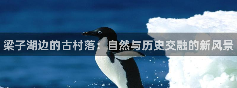 必一体育周公