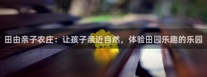 必一体育sport官方网站