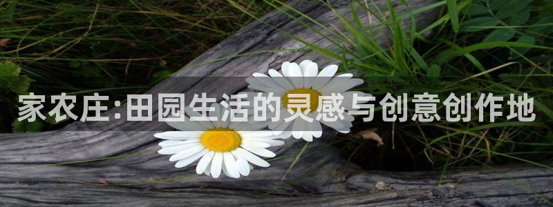 必一体育下载app下载