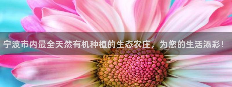 必一运动bsport体育app下载