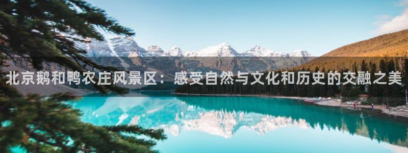必一体育app官方下载