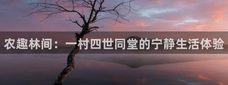 b体育必一下载