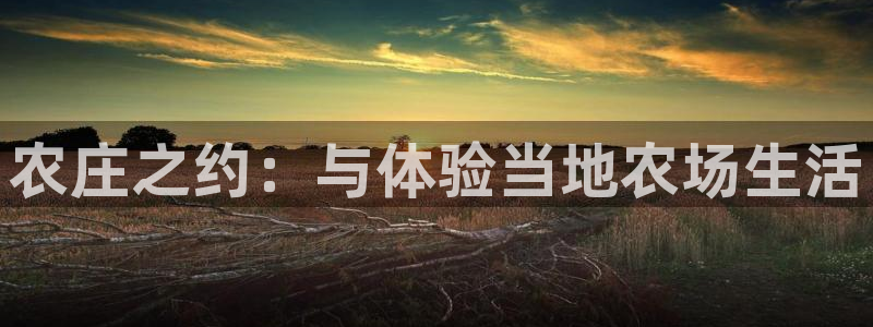 必一体育下载登入