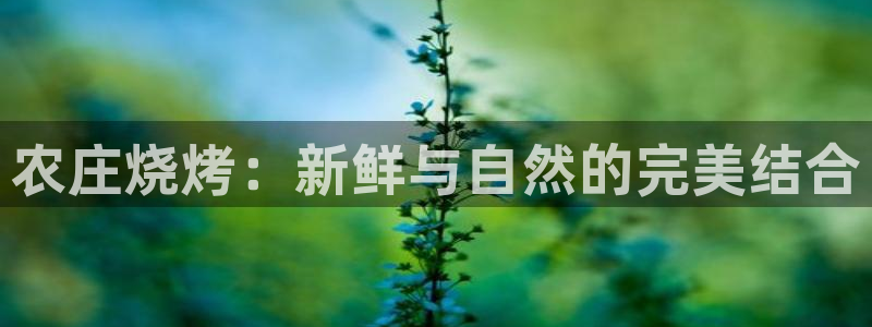 必一体育官网入口