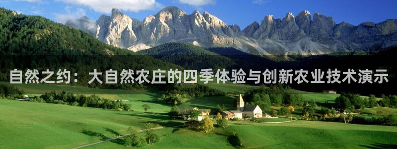 必一体育运动平台官网