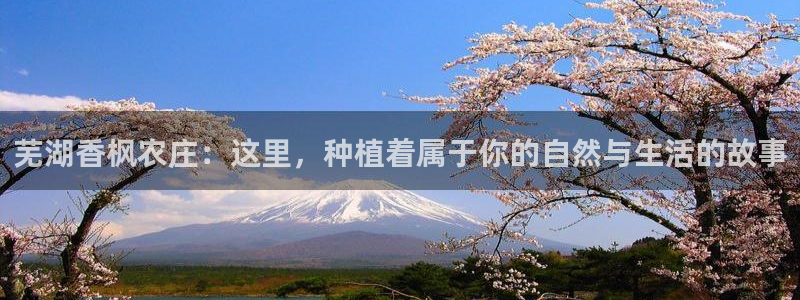 必一体育周公