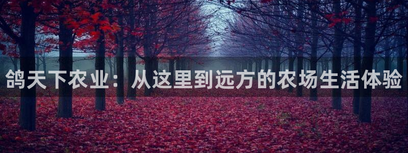 必一体育sport装机吧