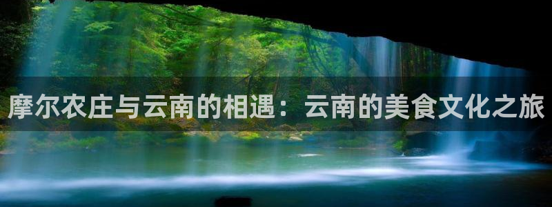 必一体育游戏特色