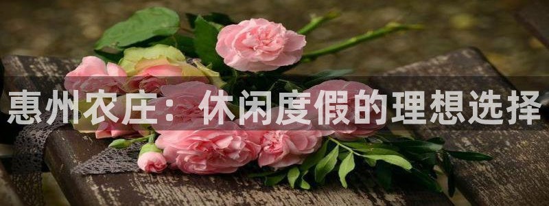必一体育运动官网
