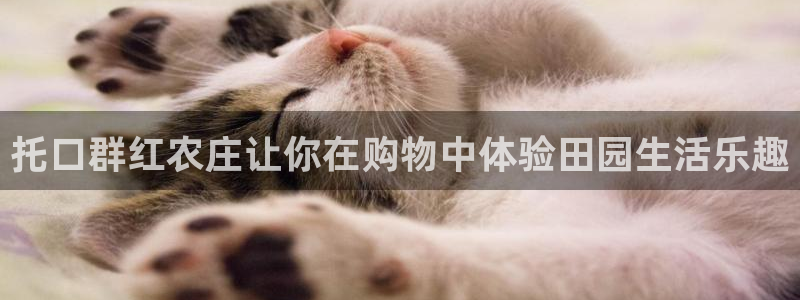 必一体育网页