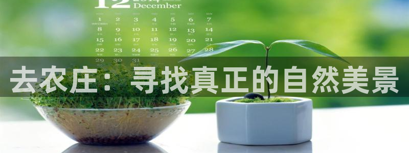 Bsport体育必一