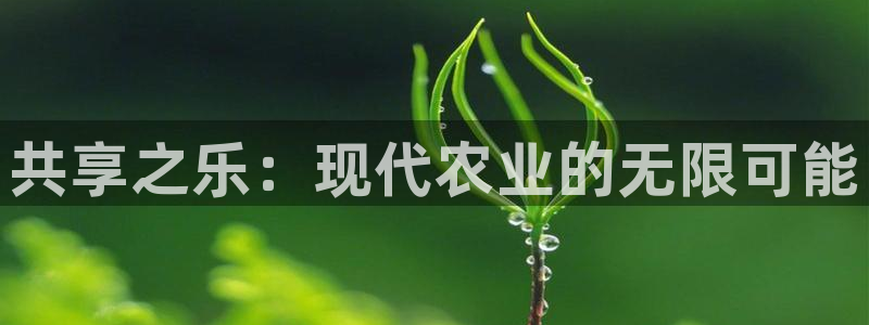 必一体育官网入口