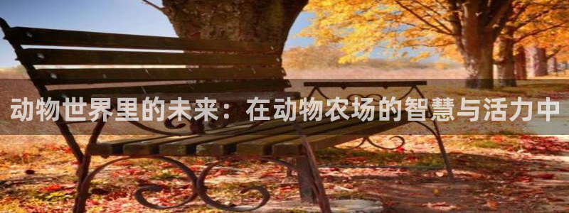 必一运动tieba.baidu.com