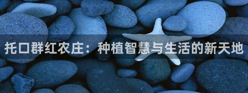 必一体育app官方