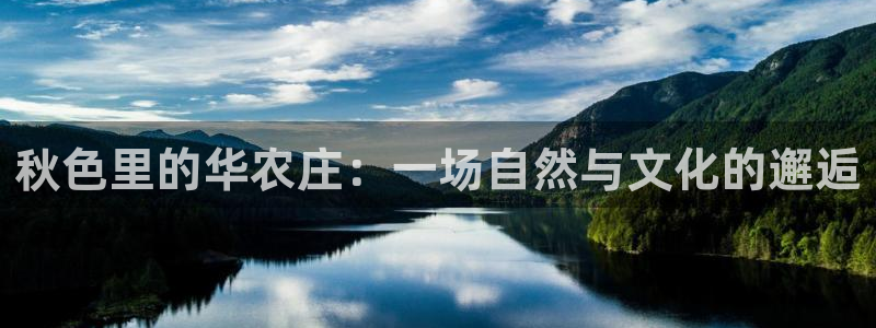 必一体育sport官网