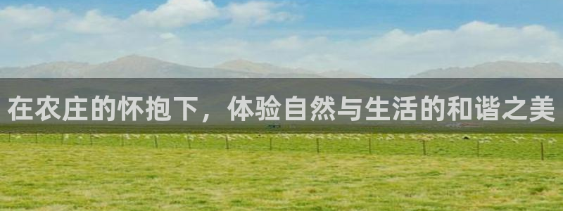 必一体育sport装机吧