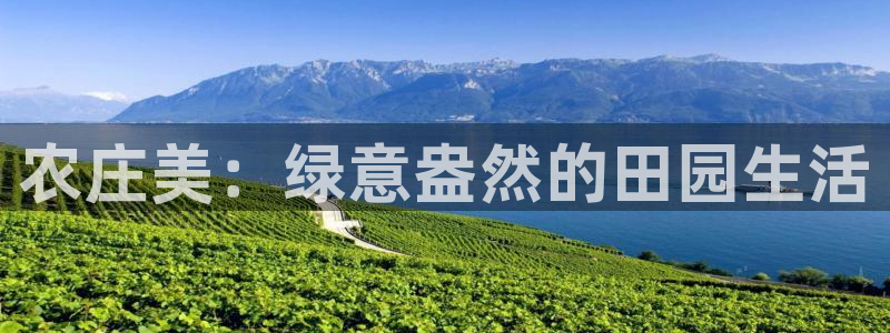 必一体育可靠吗