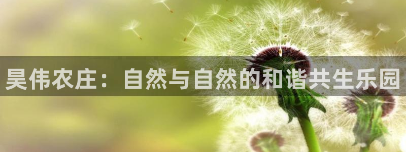 必一体育能提现大金额吗