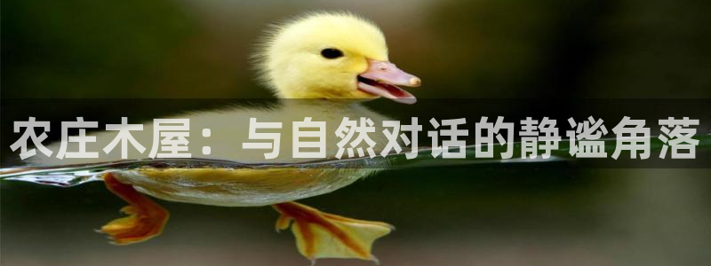 必十二和必一的副作用