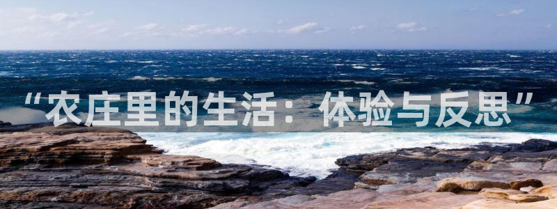 Bsport体育必一