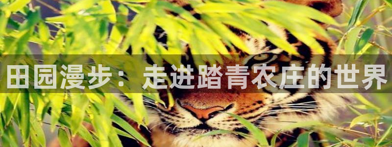 必一体育登陆