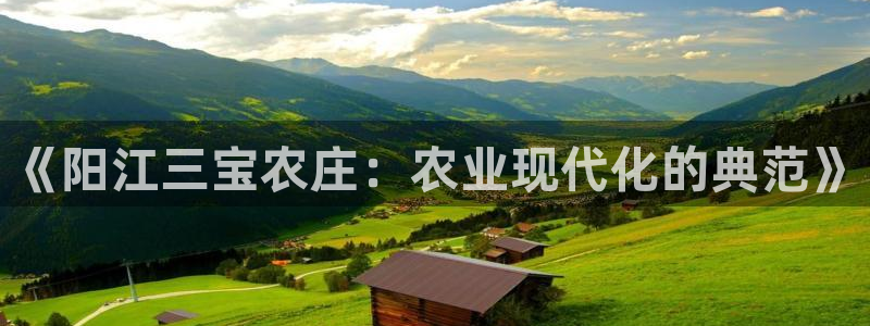 必一体育黑平台