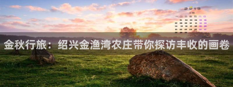 必一运动bsport体育app下载