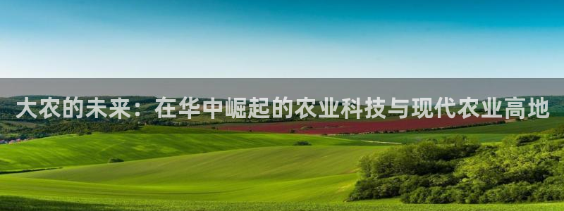 必一体育没了
