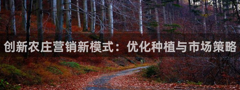 必一体育网址