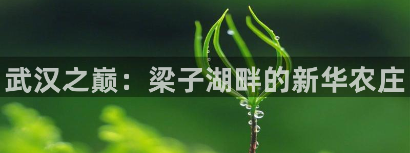 氵必一一厂一