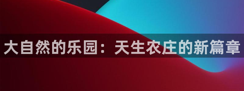 必一体育网页
