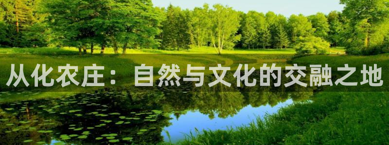 必一体育运动app