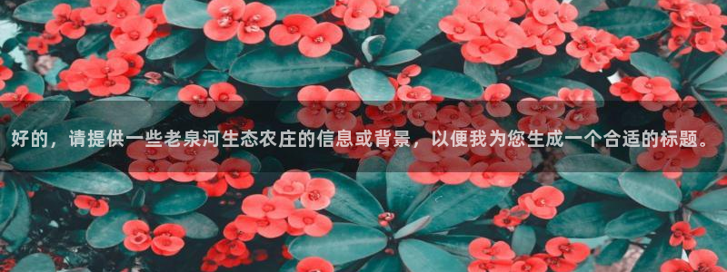 必一体育