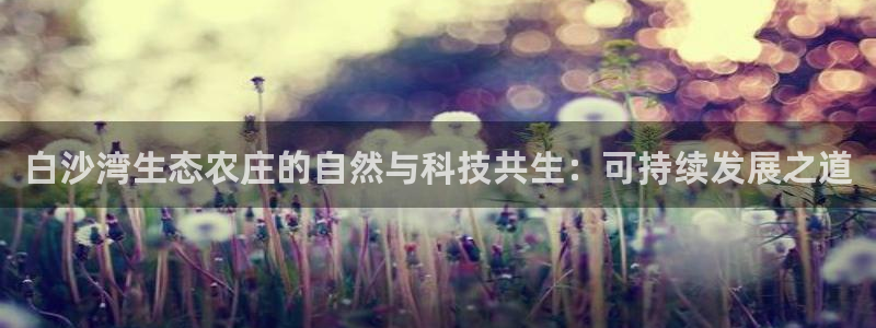 必一体育合法吗