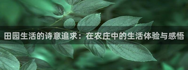 必一体育黑钱