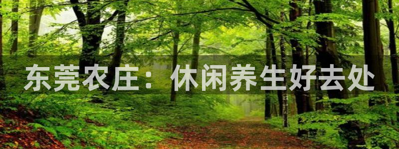 必一体育下载一样吗