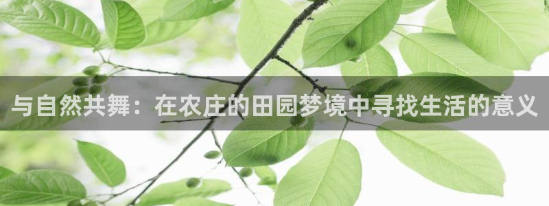 必一体育下载app下载