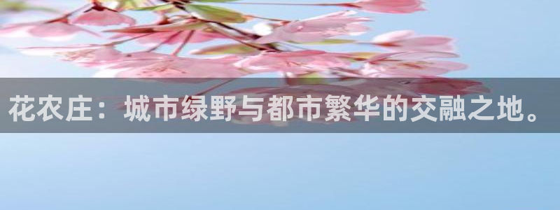 必一体育app下载安装