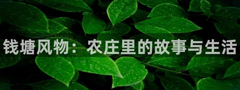 必一体育运动官网