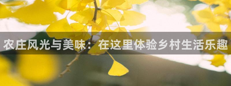 必一体育网页版登录