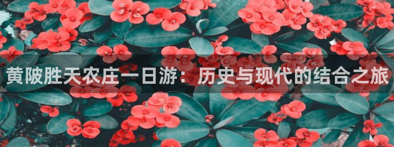 必一体育官方下载入口