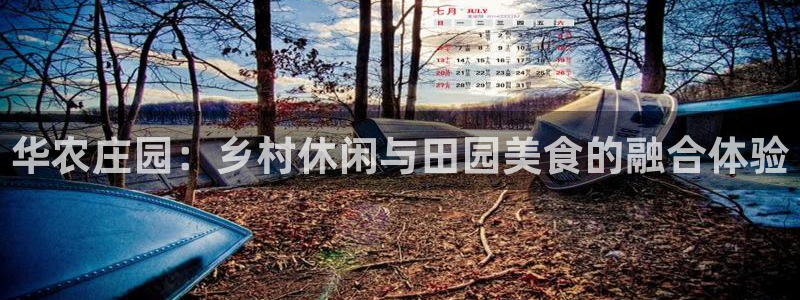 必一体育运动平台官网