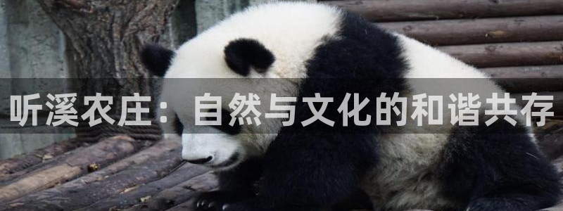 必一体育游戏特色