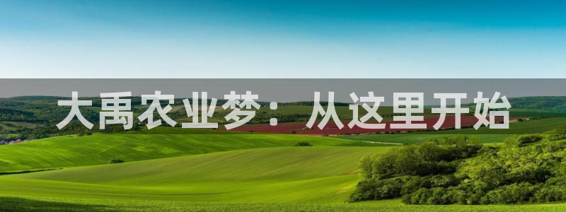 必一体育sport下载