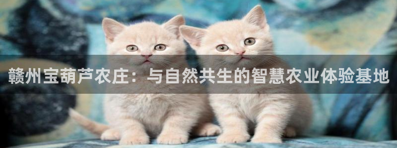 必一体育皮尔斯