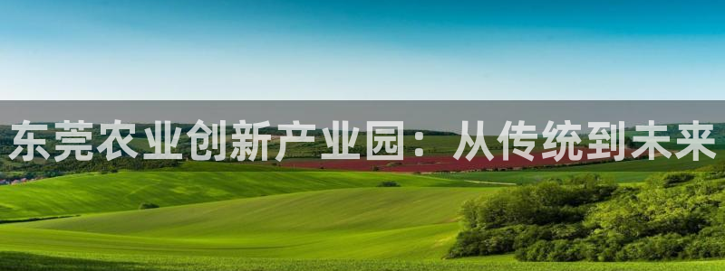 必一体育app下载最新版本